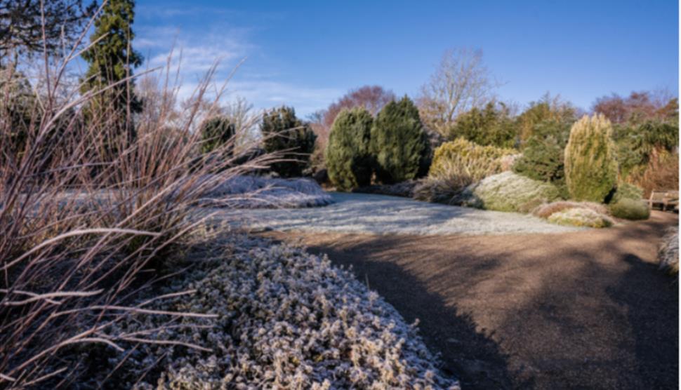 New Year's Day Guided Tour at Sir Harold Hillier Garden
