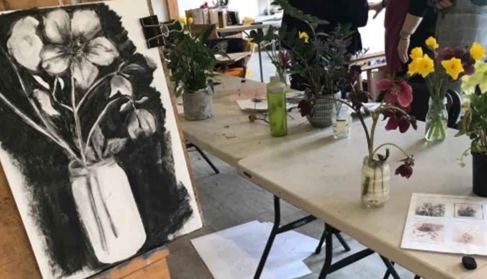 Spring Seasonal Drawing at Sir Harold Hillier Gardens