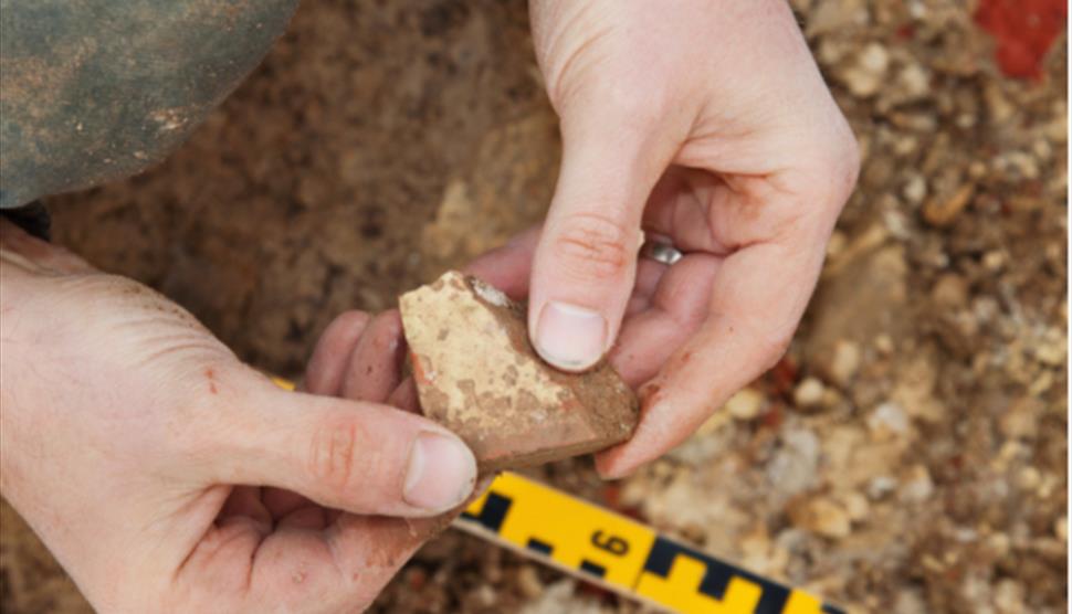 Family Archaeology: Stone Age at Sir Harold Hillier Gardens