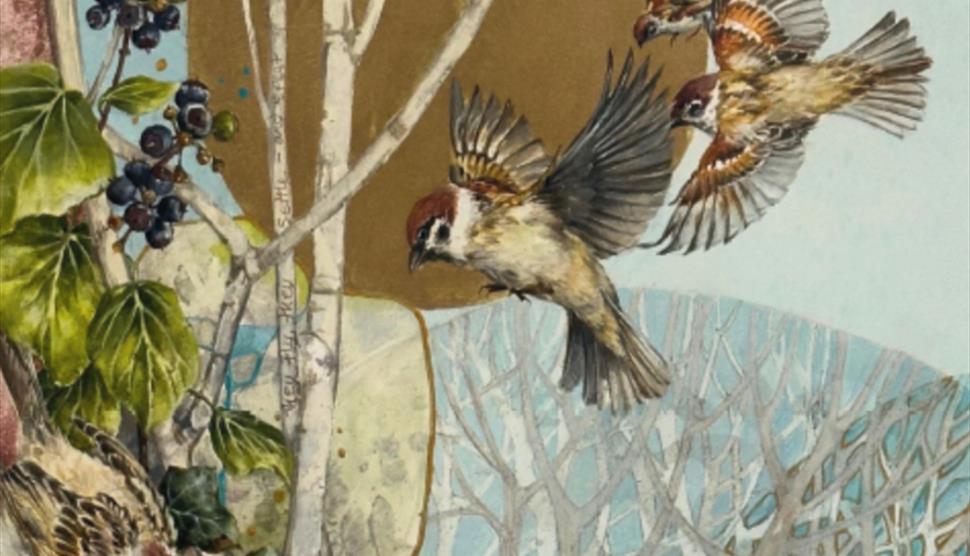 Inspired by Nature at Sir Harold Hillier Gardens