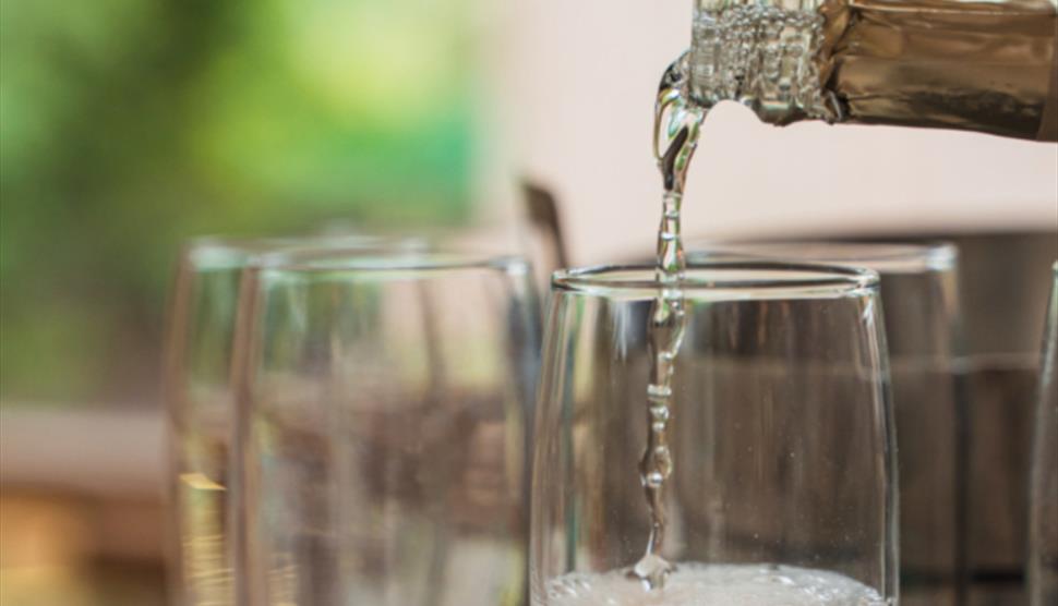 Celebrate Valentine's Day at Sir Harold Hillier Gardens