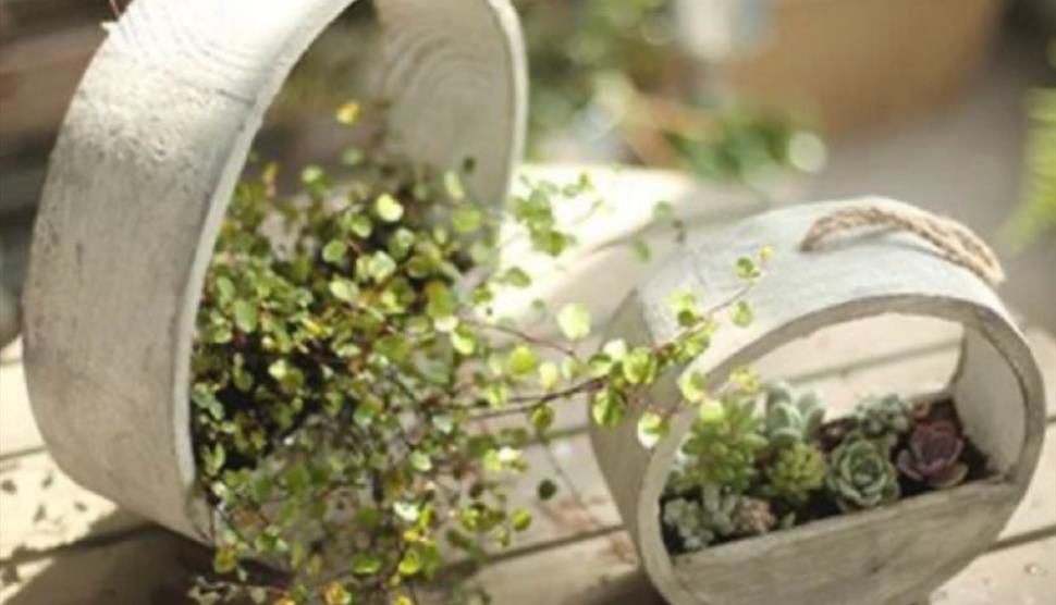Spring Garden Planter at Sir Harold Hillier Gardens
