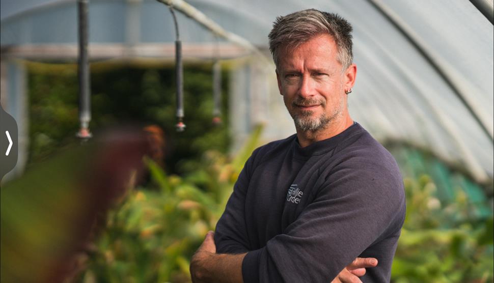 Botany for Beginners at Sir Harold Hillier Gardens