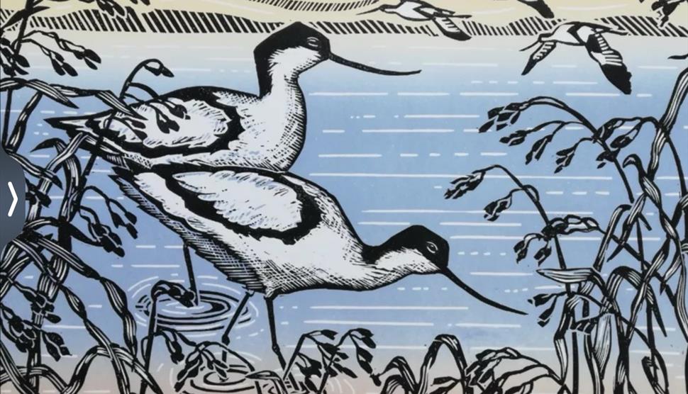 Our World Imagined at Sir Harold Hillier Gardens