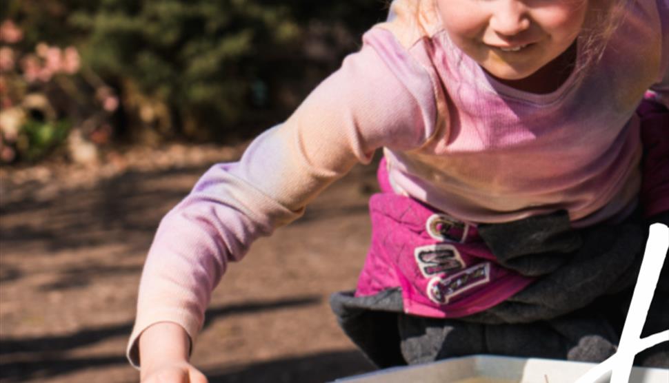 Pond Dipping at Sir Harold Hillier Gardens