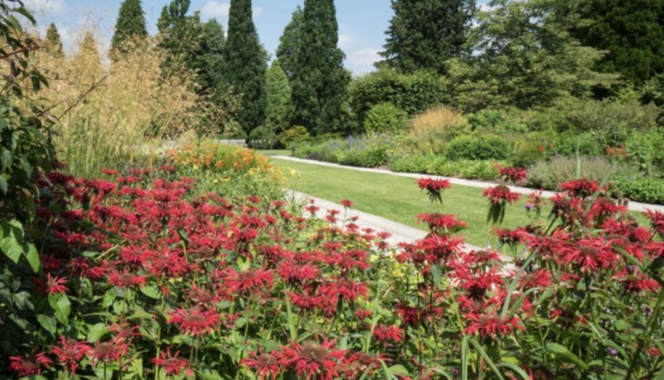 Mid-Summer Evening Supper at Sir Harold Hillier Gardens