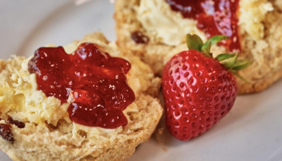 Celebrate National Cream Tea Day at Sir Harold Hillier Gardens