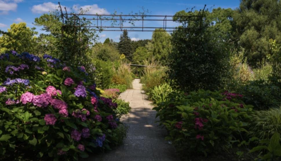 September Evening Supper & Guided Tour at Sir Harold Hillier Gardens