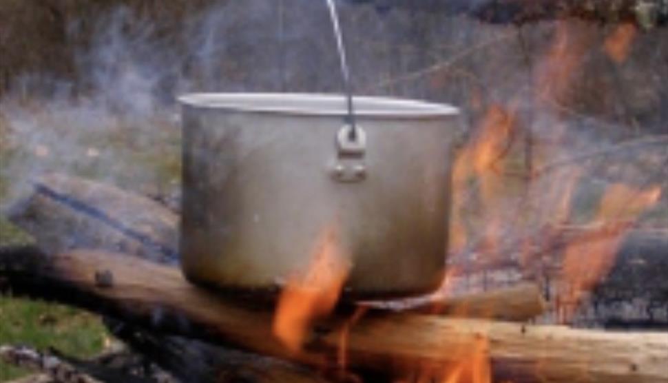 Foraging, Fire & Fun - Bushcraft September 2026 at Sir Harold Hillier Gardens