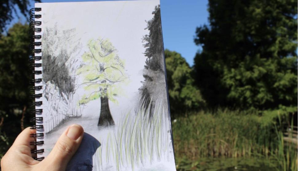 Sketch of tree
