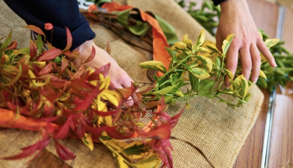 Autumn Foliage