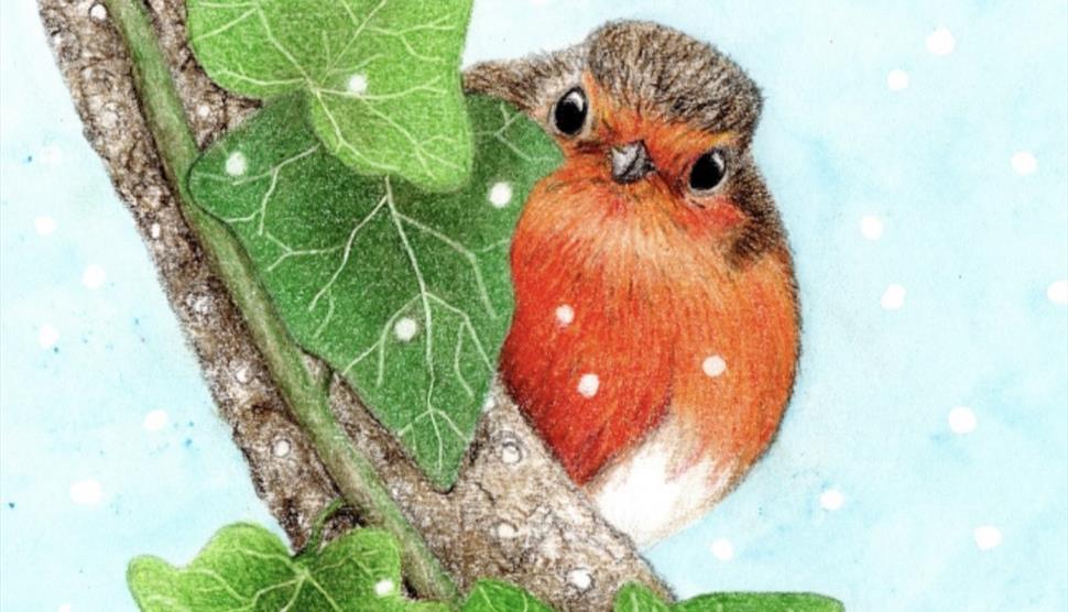 Picture of robin