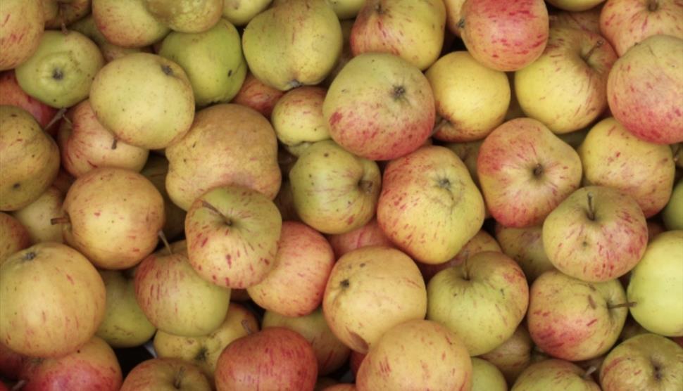 Apples