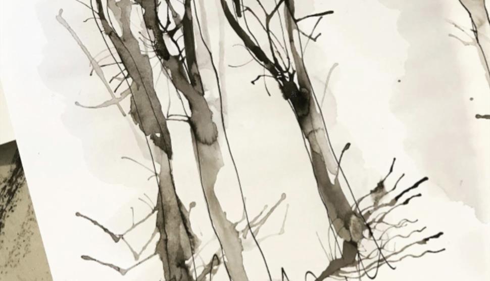 Winter Seasonal Drawing at Sir Harold Hillier Gardens