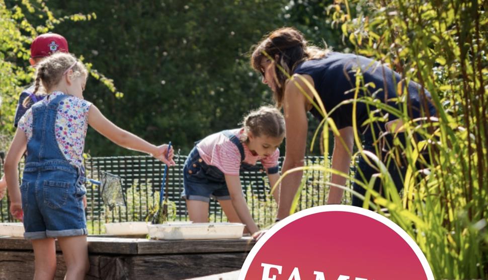 Pond dipping at Sir Harold Hillier Gardens