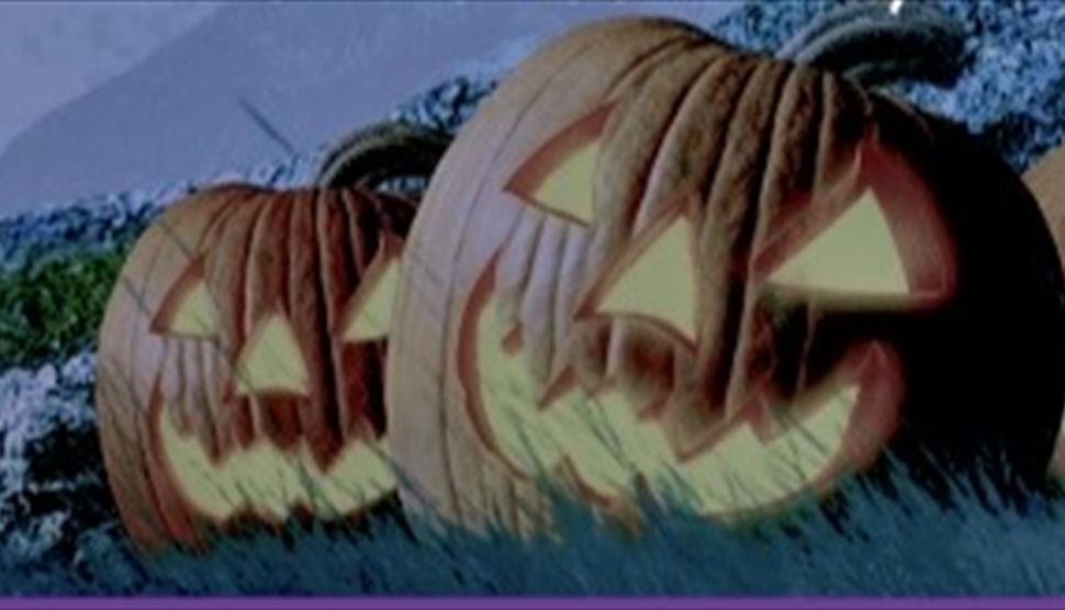 Carved Pumpkins picture
