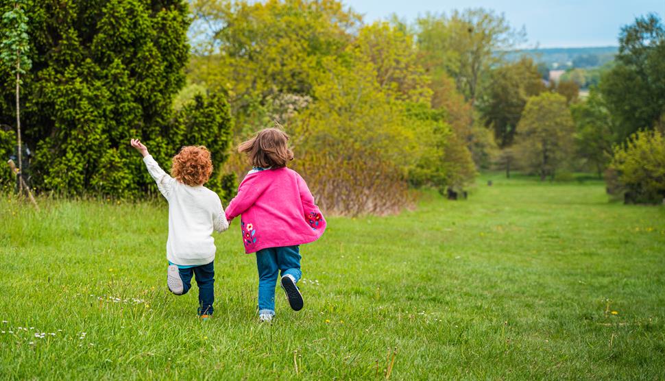 Wild about Wildflowers at Sir Harold Hillier Gardens