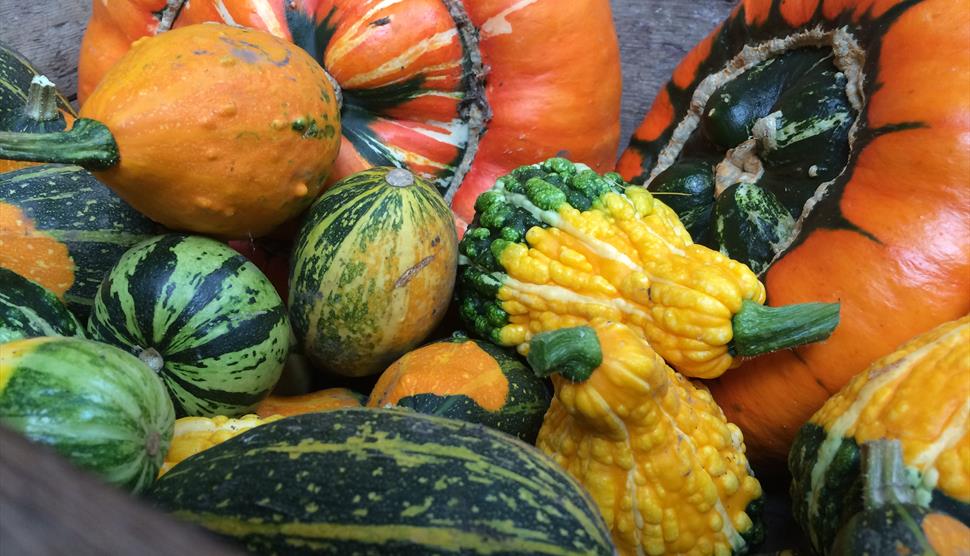 Harvest Fair at Gilbert White's House & Gardens