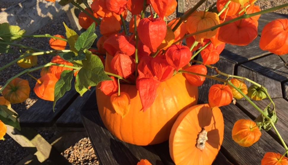 Halloween Spooky Trail at the Pavilion Tearoom