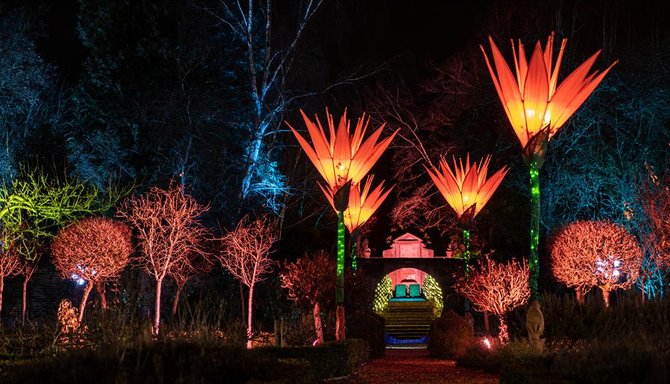 The Illuminated Garden at West Green House Gardens