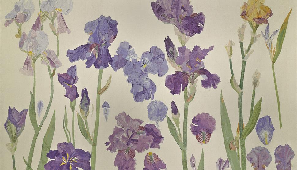 Elizabeth Blackadder: From the Artist's Studio at Willis Museum