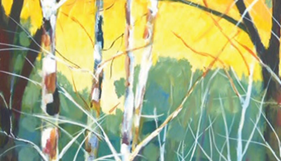 Paint Let Loose Art Exhibition at Sir Harold Hillier Gardens