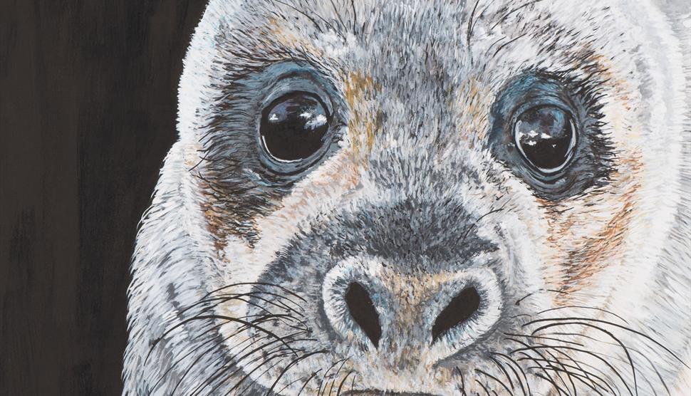 'Untamed' Art Exhibition
