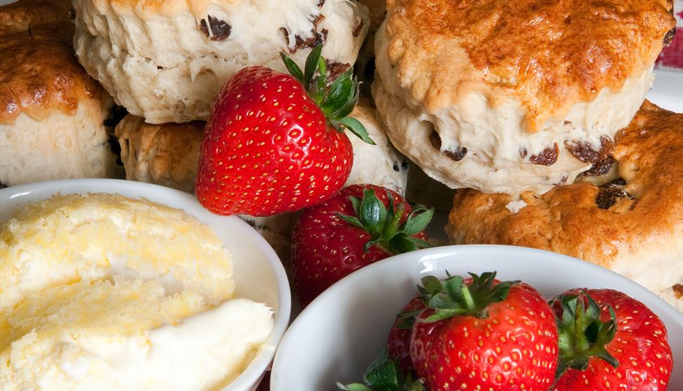 Pimms and Cream Tea at Sir Harold Hillier Gardens