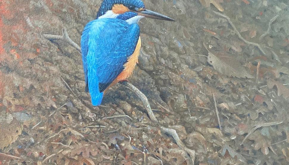 Kingfisher