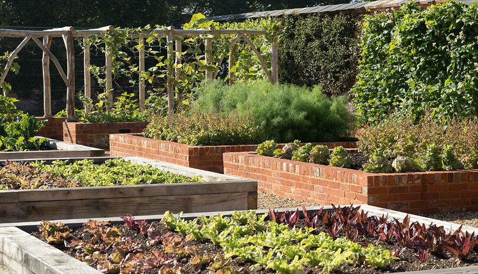 Harvest time at Mottisfont