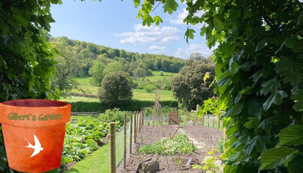 Gilbert's Garden: Kitchen Garden Planting Day at Gilbert White's House and Gardens