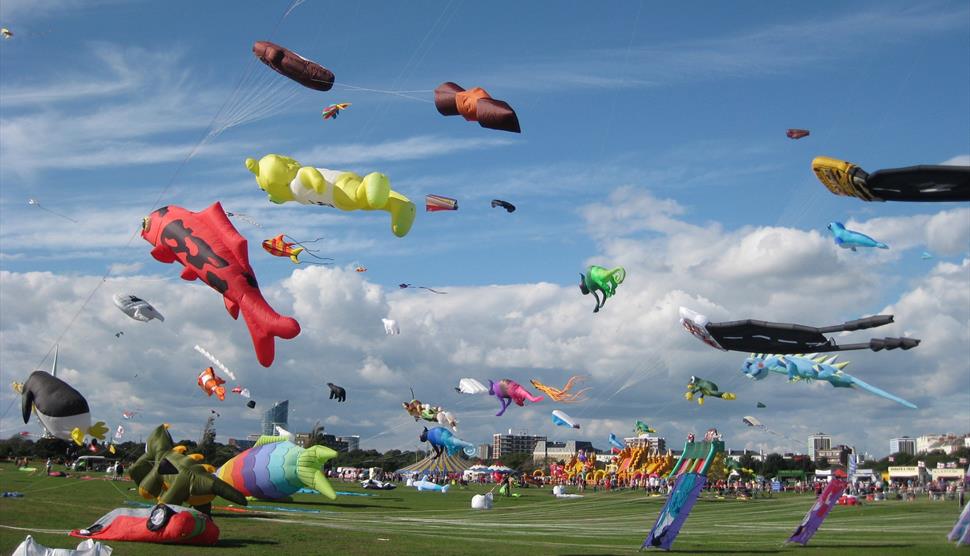 Photograph of kites in the air above Southsea Common for the Portsmouth International Kite Festival