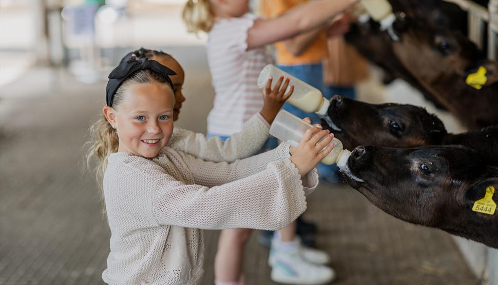 Longdown Activity Farm