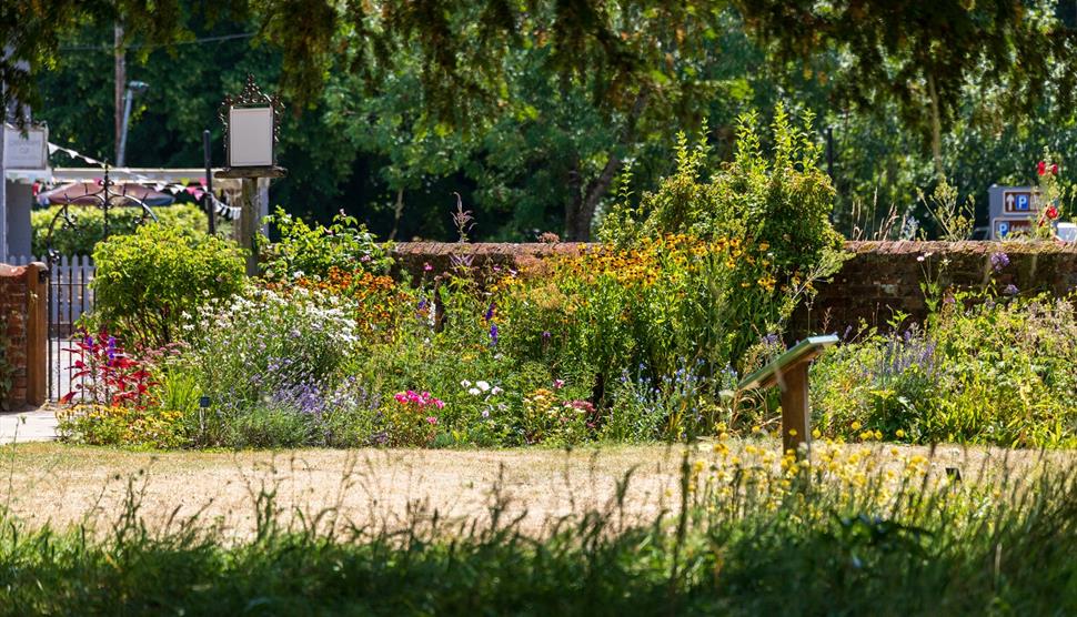 The garden at Jane Austen's House in summer