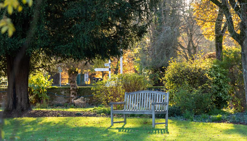 The garden at Jane Austen's House. Photo by Luke Shears