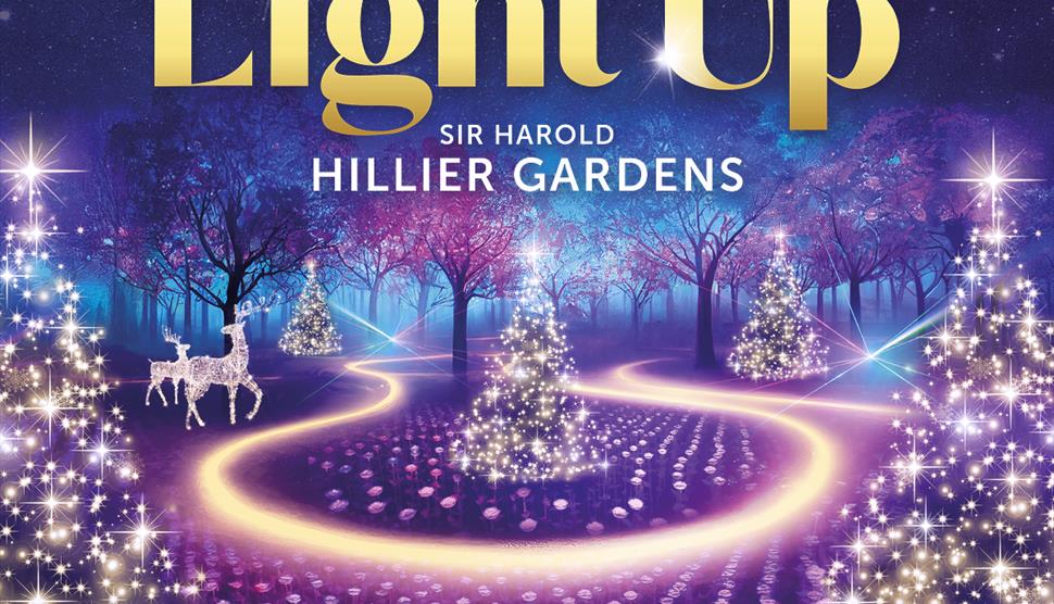 Light Up Sir Harold Hillier Gardens at Christmas