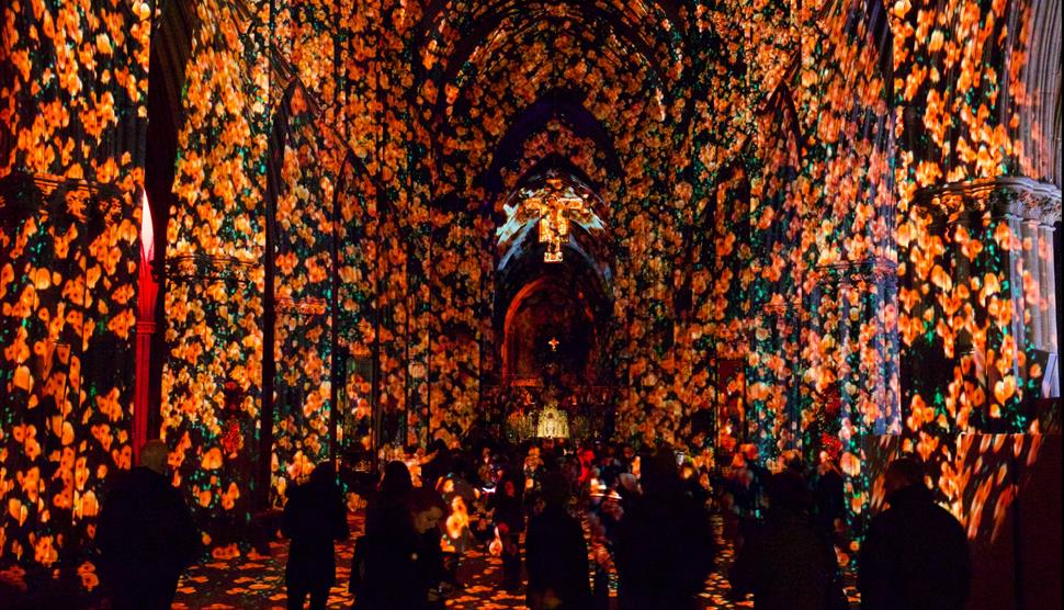 Poppy Fields at Winchester Cathedral