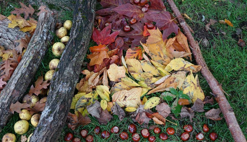 Autumn creative workshops at Mottisfont