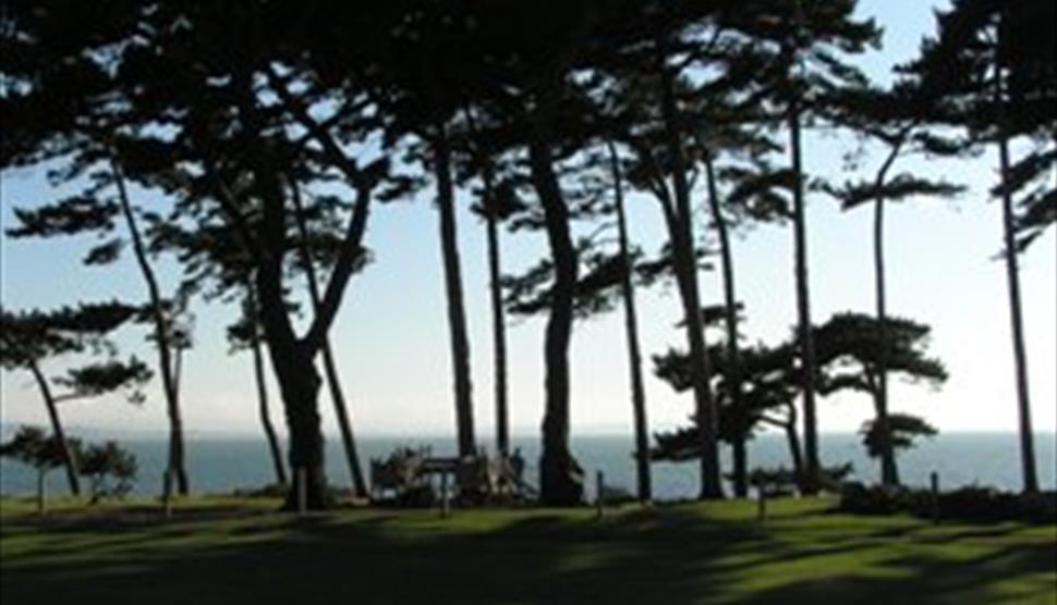 Hidden Cold War History Revealed at Lepe Country Park