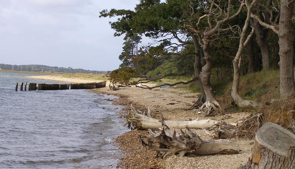 Lepe Loop Guided Walk at Lepe Country Park