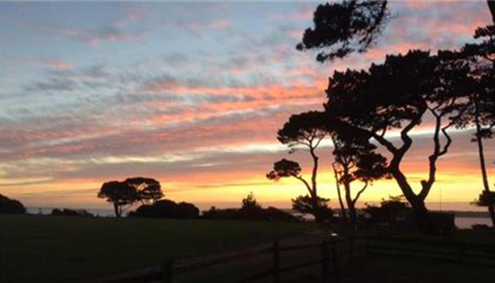 Fright Night at Lepe Country Park