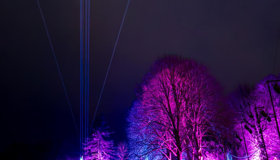 A photo taken at Let's Glow 2024, purple and blue lights light up the trees in War Memorial Park.