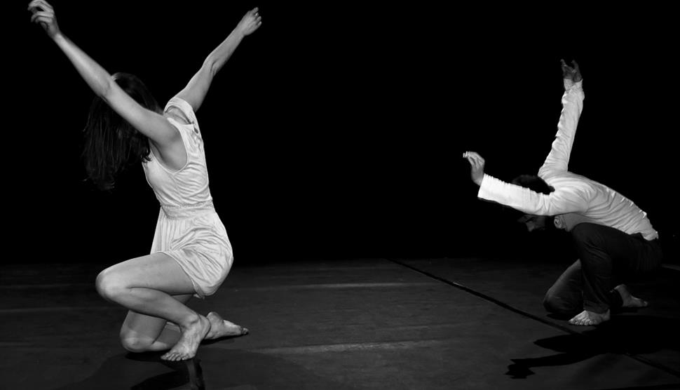 LINA - Forged Line Dance Company