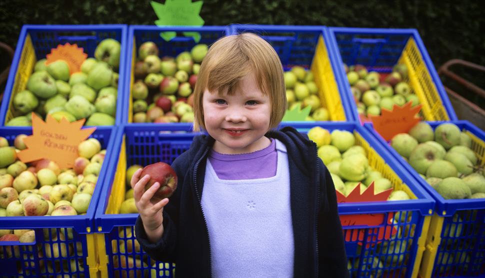 Apple Harvest Weekend at Winchester City Mill