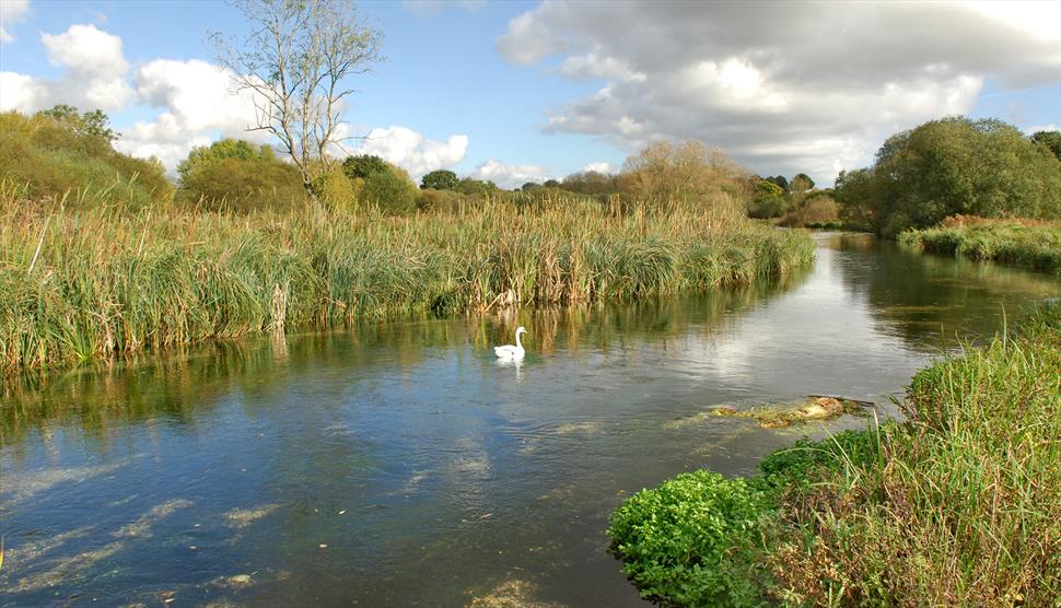 Longparish Harewood Hike