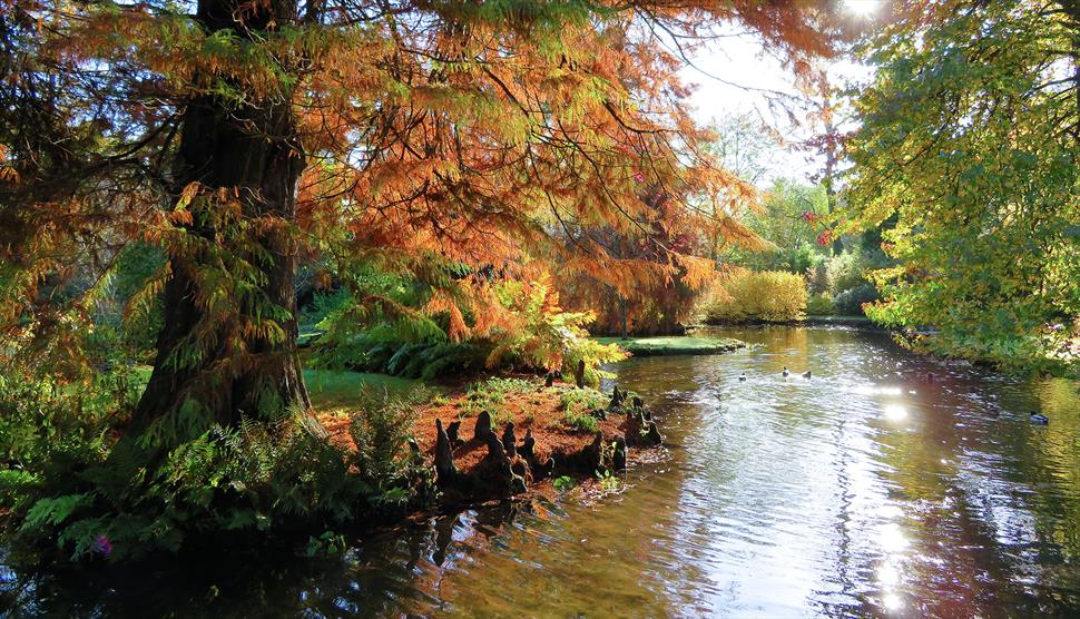 Longstock Park Water Garden Open Days