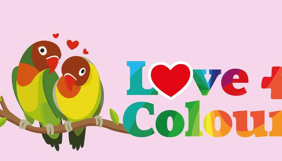 Love + Colour at Birdworld