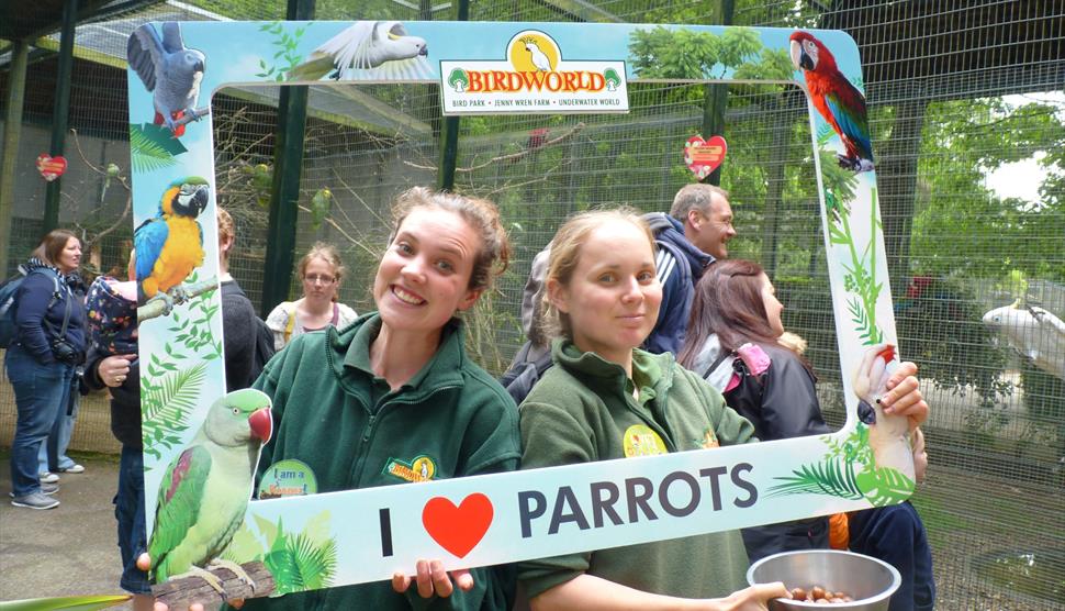 Love Your Zoo Week at Birdworld