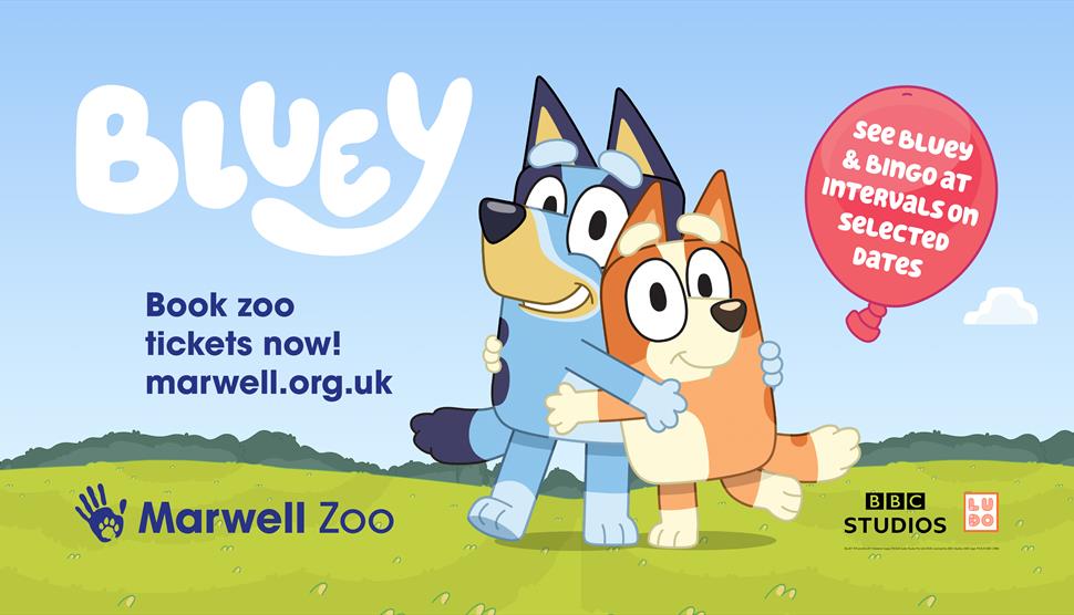 Bluey, Bingo and Hey Duggee are coming to Marwell Zoo!