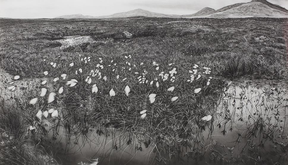 Trinity Buoy Wharf Drawing Prize 2022 at the Willis Museum
